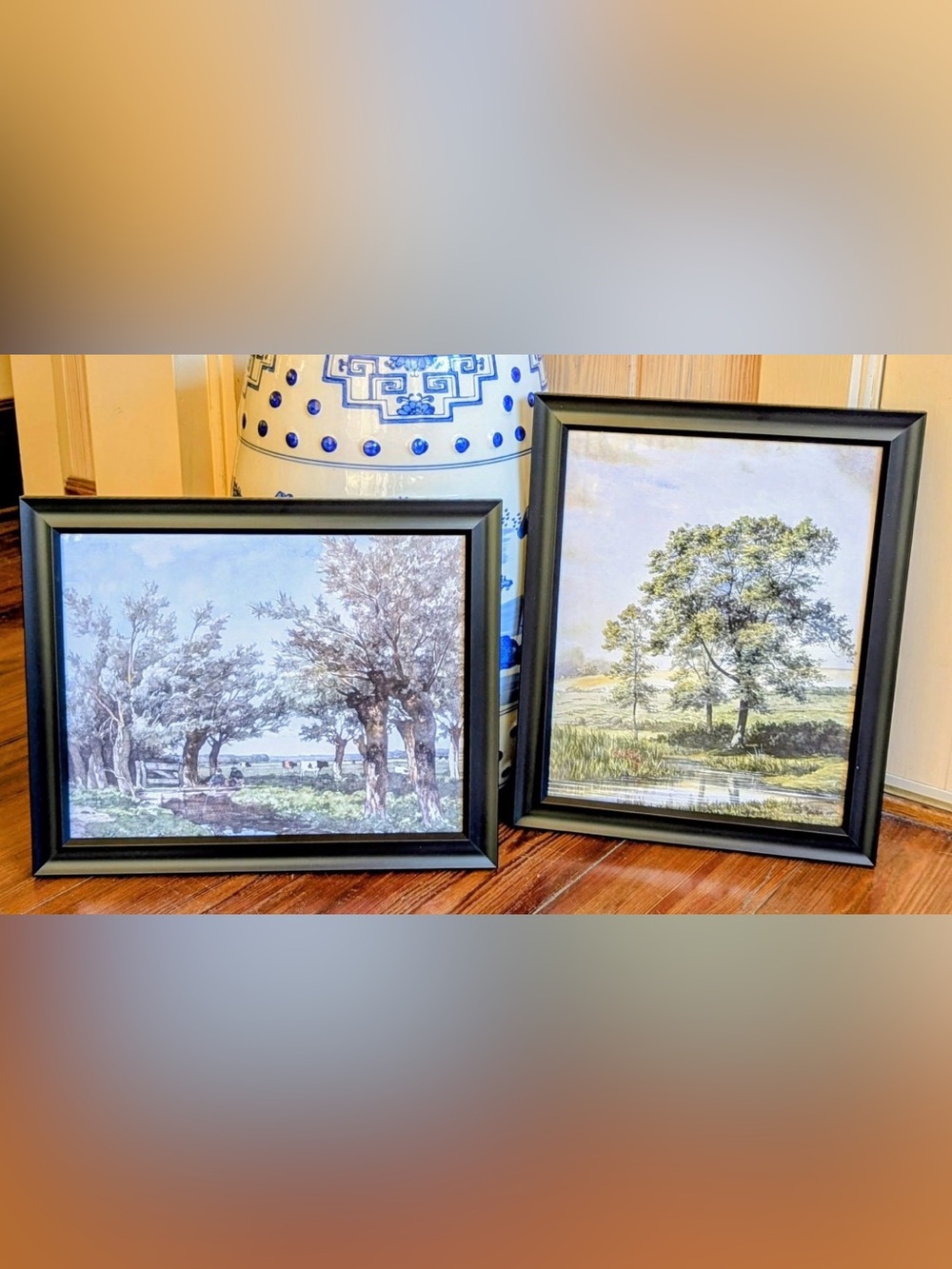 Beautiful! Newly framed Southern Landscapes
